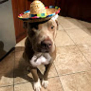 Meet your Posher, Ali